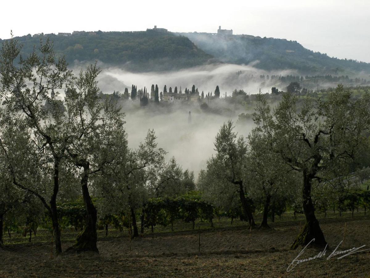 Holiday Home La Voce Del Silenzio By Interhome Volterra Eksteriør billede